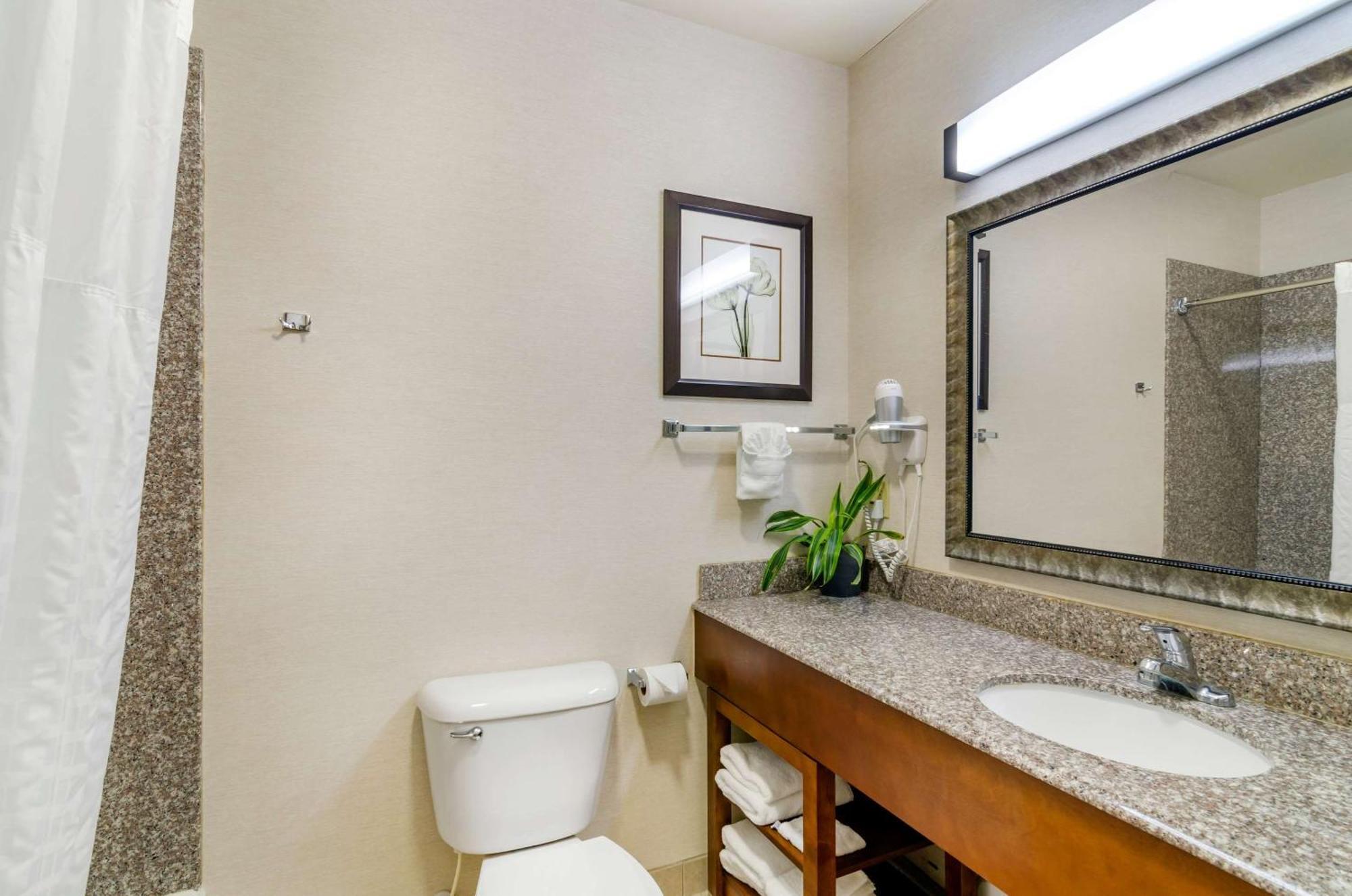 Newton Comfort Inn & Suites Near Bethel College מראה חיצוני תמונה