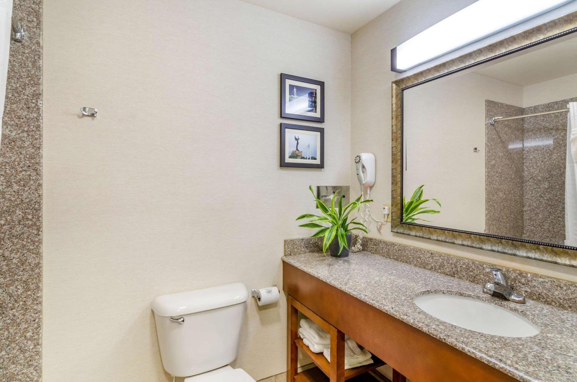 Newton Comfort Inn & Suites Near Bethel College מראה חיצוני תמונה